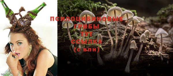 сатива Алзамай
