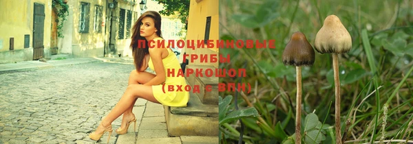 соль ск Аркадак