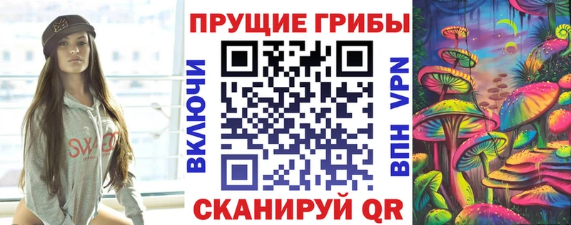 Псилоцибиновые грибы мицелий  где можно купить   Куса 